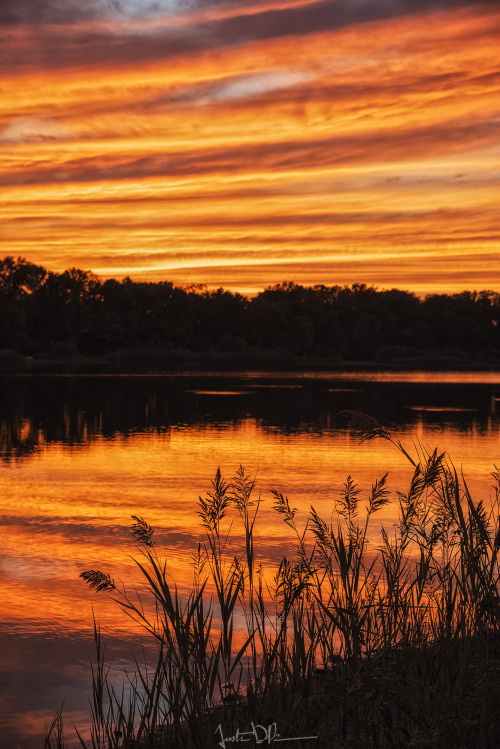 justinderosaphotography:Eternal Summer