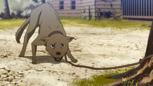 animedogoftheday