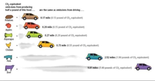 veganmovement2012:  There is no such thing as a meat, cheese, milk, egg-eating environmentalist. Excerpt from Adaptt.org    Meat-eating environmentalist = Oxymoron Animal Agriculture and Environmental Destruction  Many people who fancy themselves to be