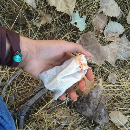 faerykittenwitch:  Spell sachet ✨