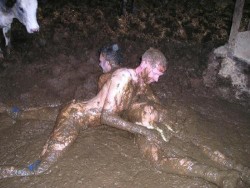 agricultureworld:kinkydirtyfilthygayguy:  Exactly where I wanna be.   Would like to wallow naked with a manure boy in a well filled pigsty