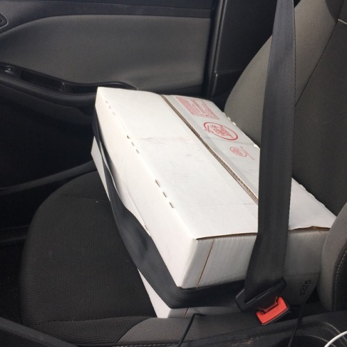 HELLO i hate my life???? these are boxes of meat