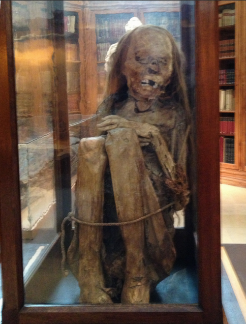   Carmo Convent & Archaeological Museum in Lisbon. This mummy belongs to a young girl found in Peru in the 16th century.