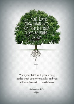 christ-our-glory:  Colossians 2:7 (NLT)Let your roots grow down into him, and let your lives be built on him. Then your faith will grow strong in the truth you were taught, and you will overflow with thankfulness. 