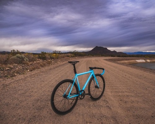 nickwilsonphoto:Explore your state. #StateBicycleCo #ExploreYourState #GetOlympus #HoyaTough #FixedG