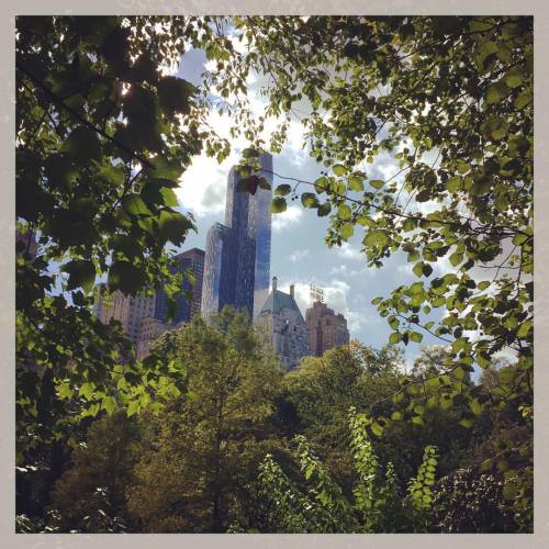 A scene from New York #nyc #manhattan #centralpark #essex #essexhouse #midtown #nysummer #autumn #in