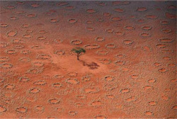 sixpenceee:   The Fairy Circles Of Namibia,