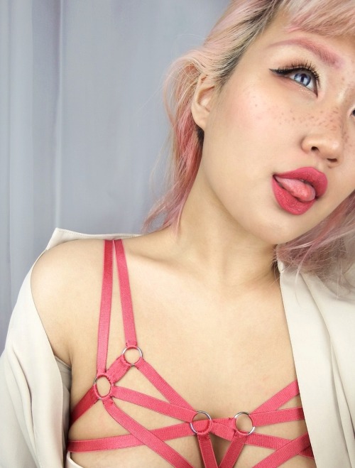 michellemoe:  Red Swan Harness  SHOP ALIENMOE 