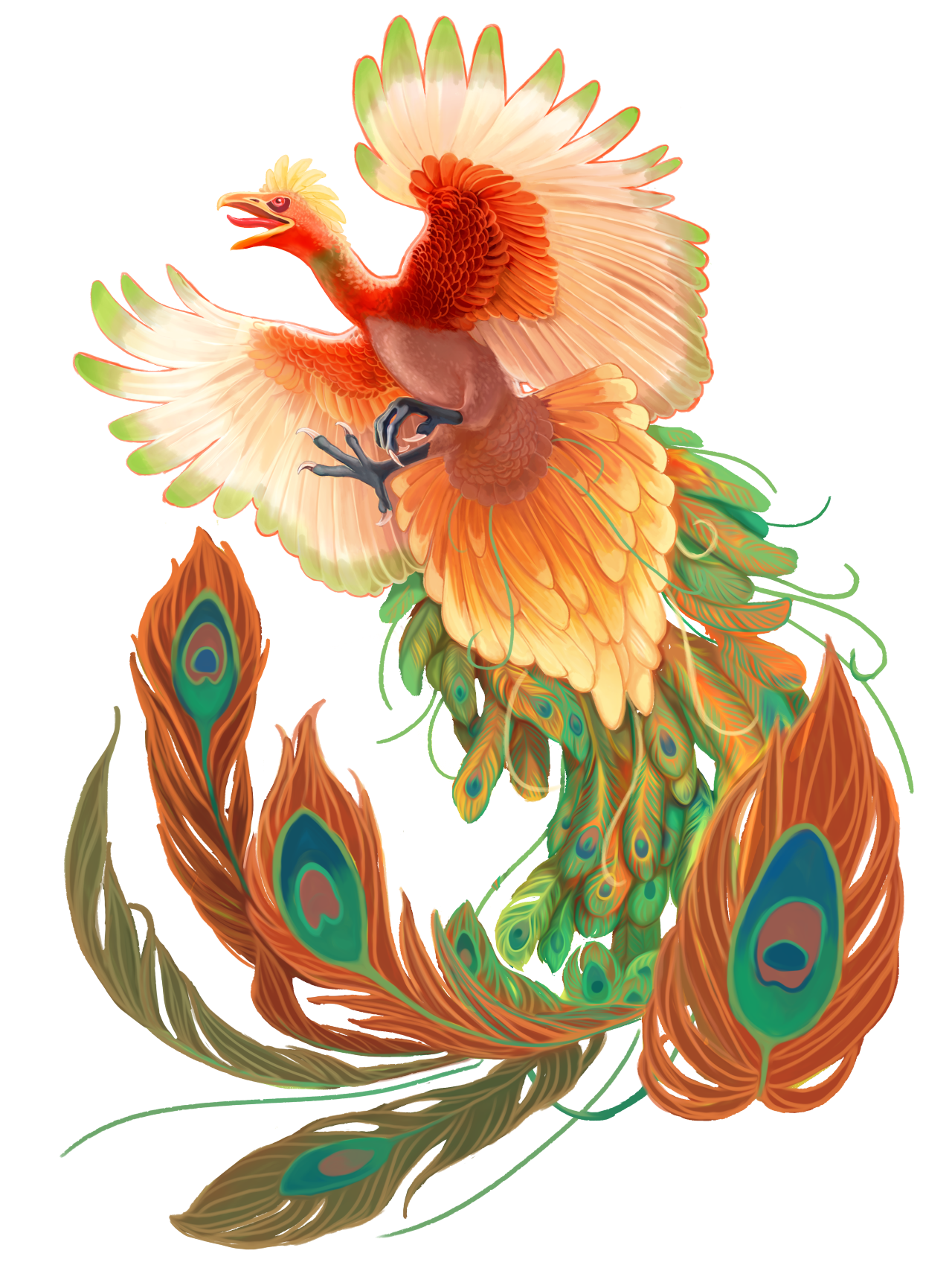 mariedileva:  Transparent! The Rainbow Bird   Tumblr / Shirt  