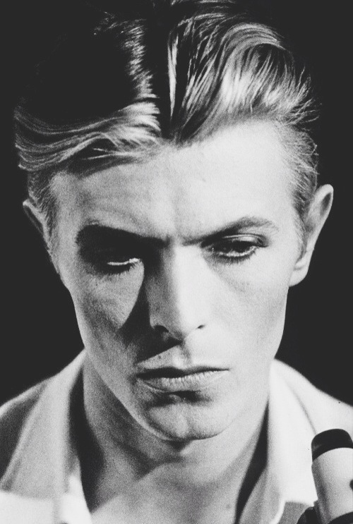 thedoppelganger:  David Bowie 