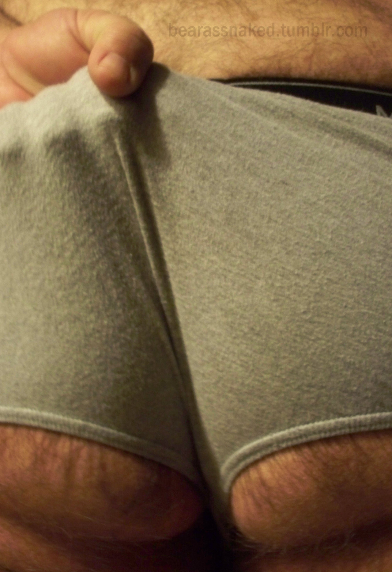 bearassnaked:  gray