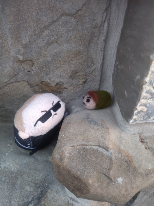 Wesker And Chris (Yeah, It's My First Thing From Wool And Needle Felting) Are On Vacation!