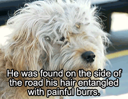 huffingtonpost:  This makeover literally saved Charlie’s live. See the full video