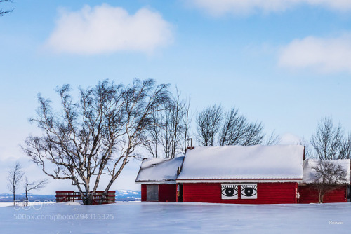 Anishinaabe by ReneeJiang