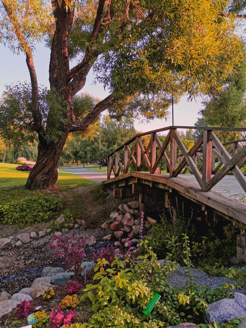 capricorngirls:hatanpään arboretum, tampere