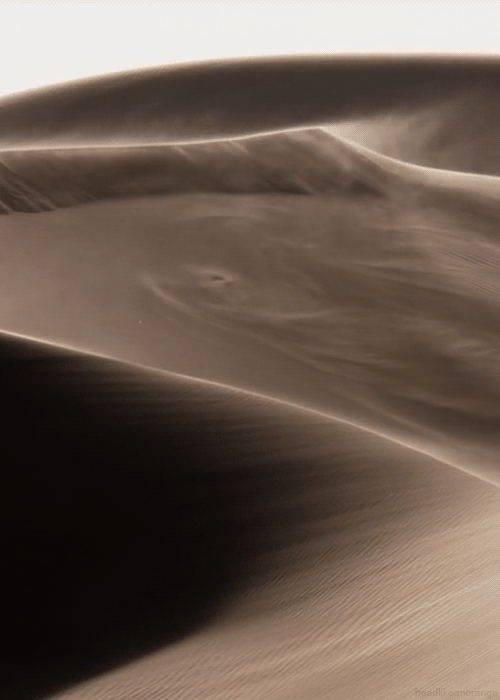 headlesssamurai:  “No matter how finely you subdivide time and space, each tiny