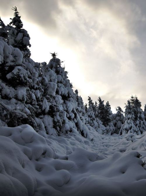 Fresh snow in Co. Dublin by Ian Carruthers