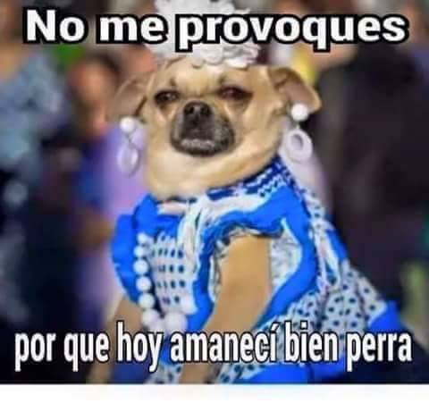 afvan:  YO SIEMPRE