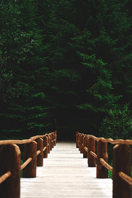 viunnyk:  . on Flickr. 