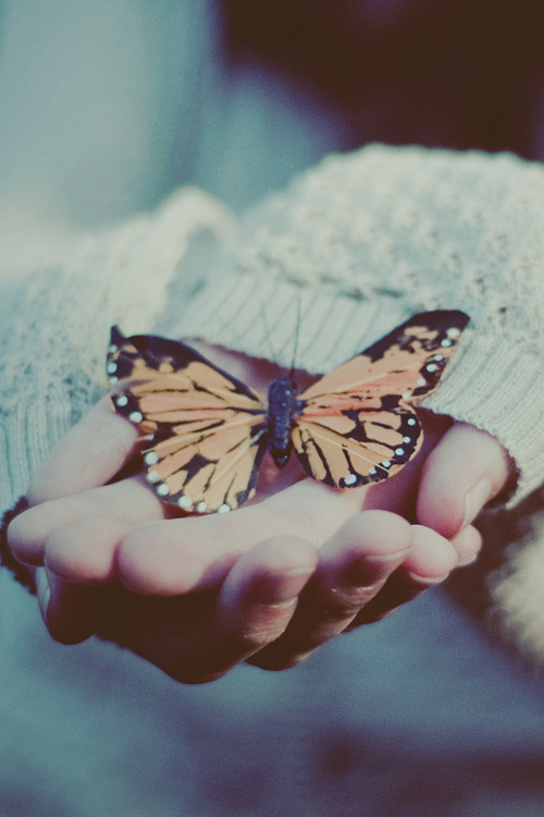 plasmatics-life:  A fool once more ~ By Ana Luísa Pinto 