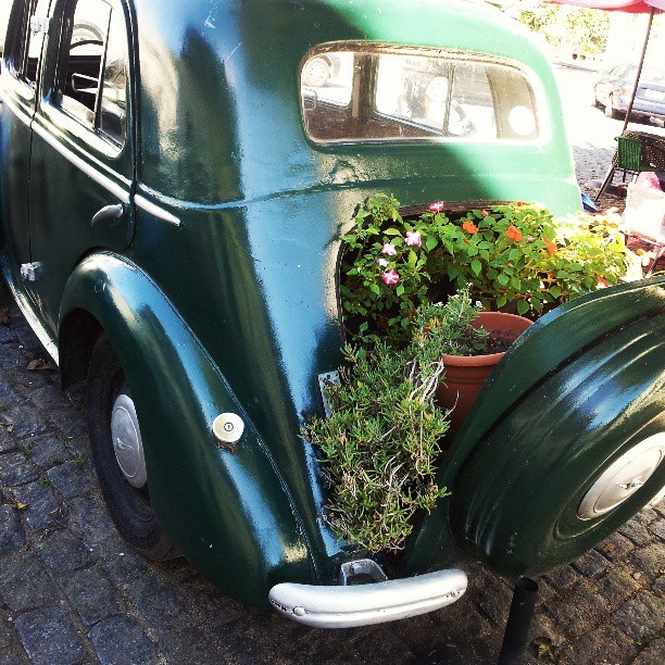 im-still-gabby:  Old cars, new life #Colonia #Uruguay #travels