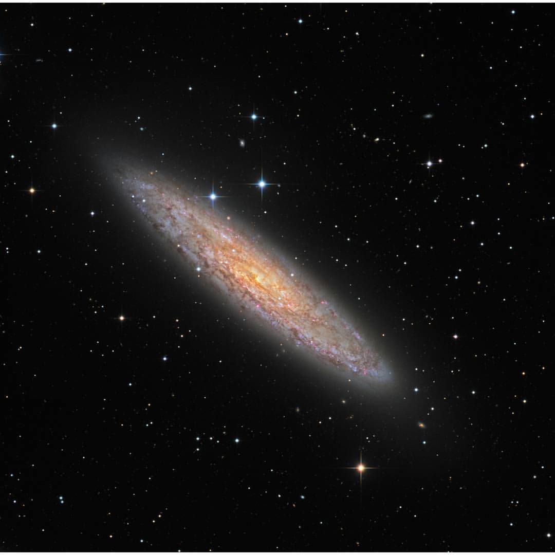 NGC 253: Dusty Island Universe #nasa #apod #ngc253 #spiralgalaxy #galaxy #starburstgalaxy