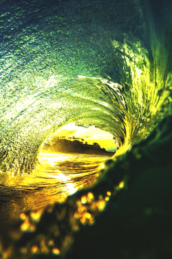 wavemotions:  Incased by Stan Moniz