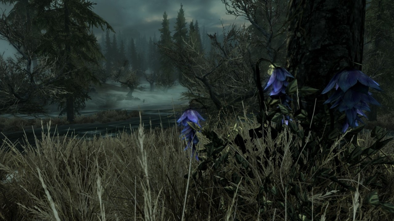 skyrim-photography:  Marshes Near Morthal- Skyrim-Photography  Requested by: thementorking