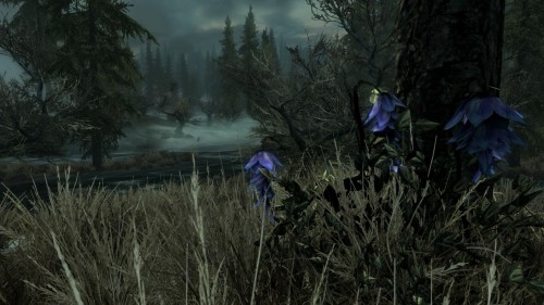 skyrim-photography:  Marshes Near Morthal- Skyrim-Photography  Requested by: thementorking