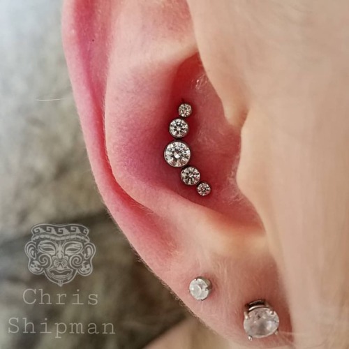 Fresh conch piercing with a big ol&rsquo; @anatometalinc cluster. Just look at those gems shinin