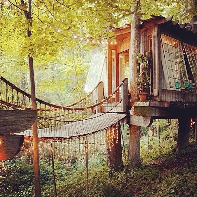 #forest #house #bridge #enchanted #lights #wanttolivethere #nature #beauty