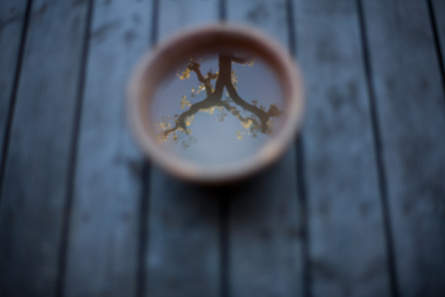 grett:  89/365 by minato on Flickr.