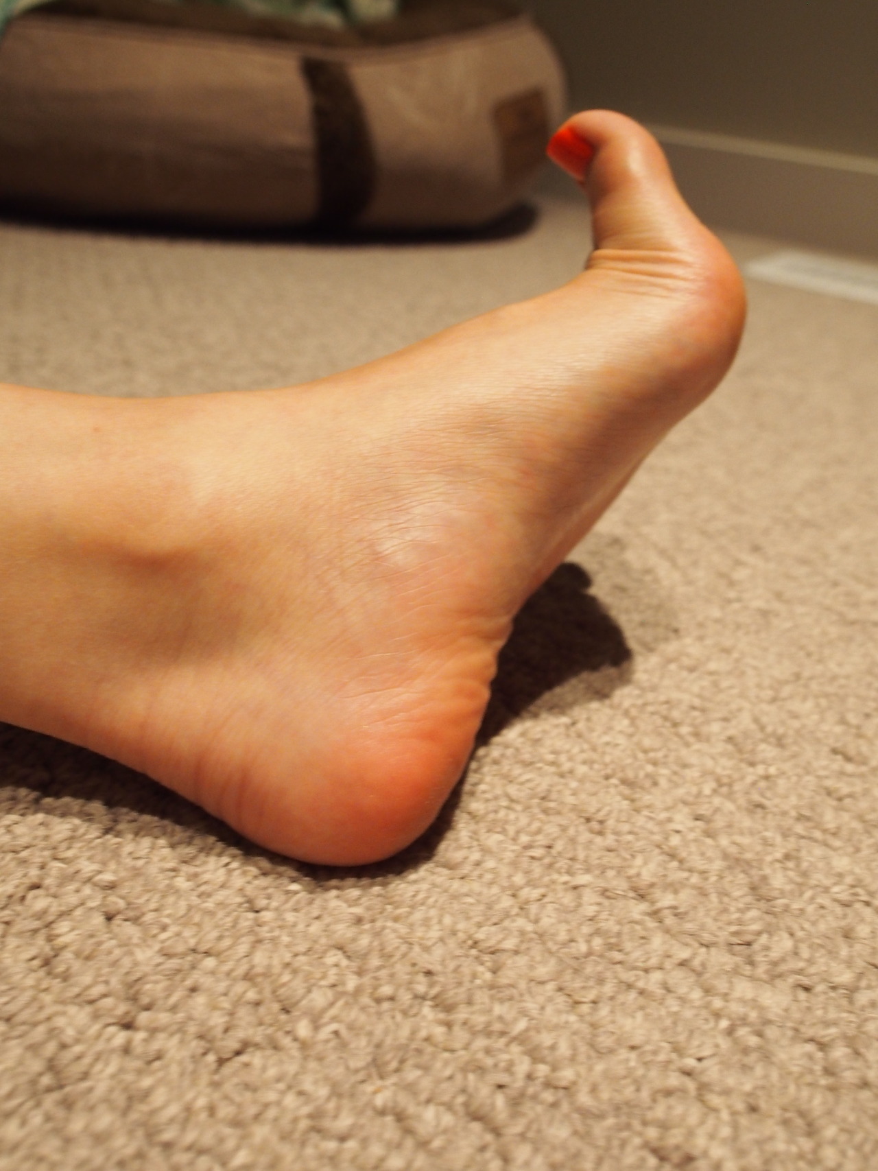 wvfootfetish:  buntoes:  come here and blow these toes…..dry :Porange crush part