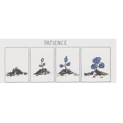 http://itneverends60.tumblr.com/post/122261530271