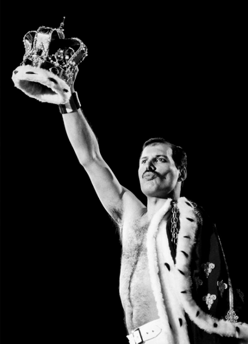 ramimalek:Freddie Mercury at Wembley Stadium, photographed by Lynn Goldsmith (1986) Legend!!