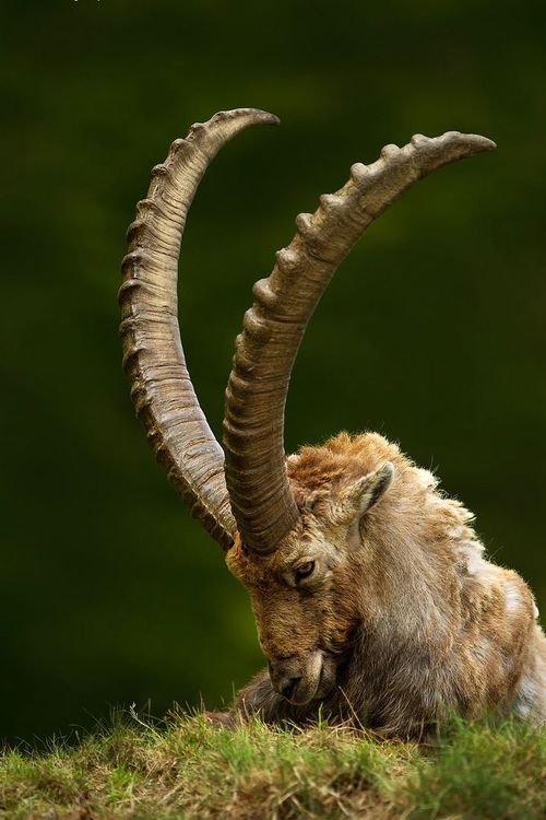 Source : munan15.tumblr.com , via tinamotta.tumblr.com