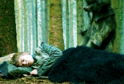 glitteringspark:jojen-reeed:The visions take their toll…