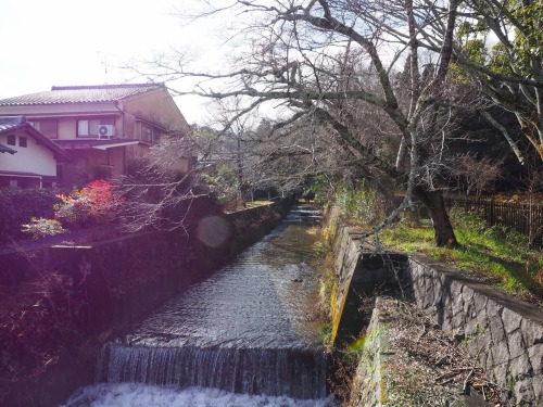 adventures in 京都by iseki kou | ig 