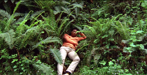 smmittens:  toro y moi 
