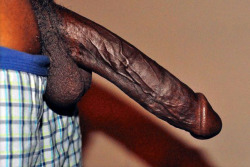 Blackdickismyfavorite:  I Follow Back.