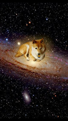 queenshibe:  space dog.