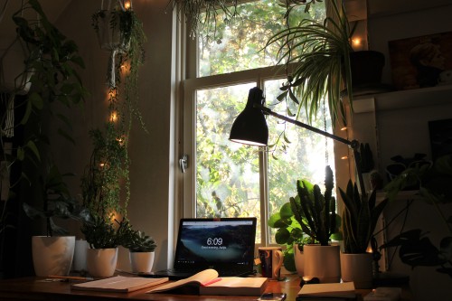 atomncloud:                                       ~ updated picture of my desk ~  I am happy to report that I now live in a forrest of plant babies. I am officialy back at university so I’ve been spending lots of time here.  