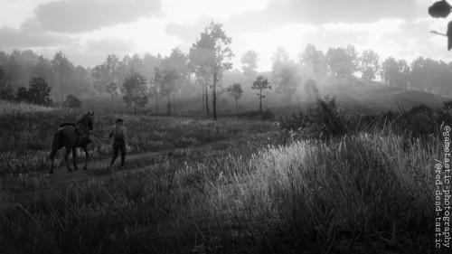 B&W Aesthetic