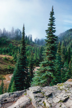 northwezt:  Tolmie Peak Lookout, Mount Rainier