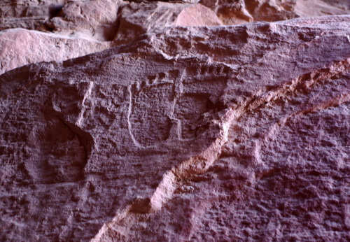 ancientart:A few of Wadi Rum's petroglyphs.Located in Jordan, Wadi Rum contains over 25,000 rock car
