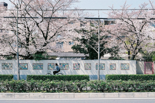 fuckyeahjapanandkorea:  上賀茂 by zyu10