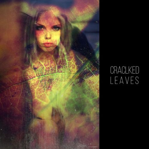 CRACKLED LEAVES . @spicyroller.sg#fineartphotography #crackled #portrait_shot (presso Monza, Italy