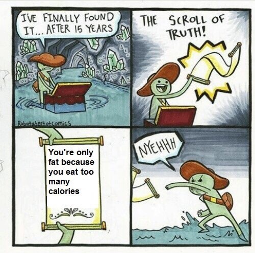 All Fat acceptance movement members