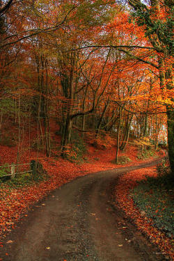 lori-rocks:  An English Autumn (via An English