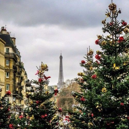 C’est Noël 
